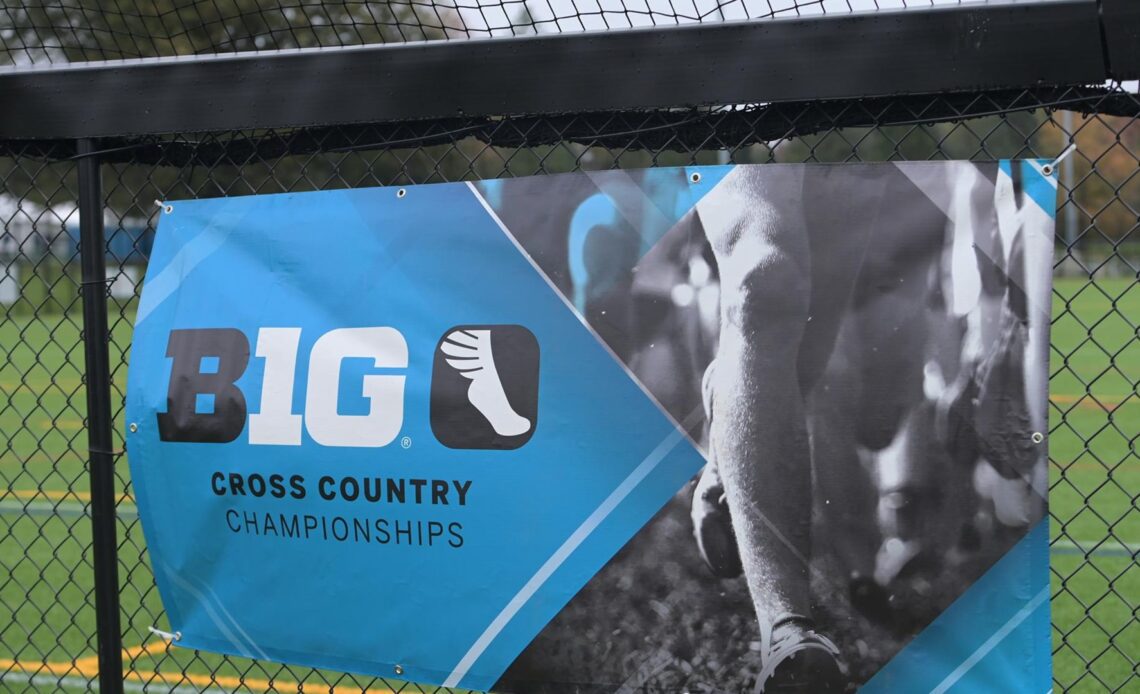 Cross Country Competes At Big Ten Championships