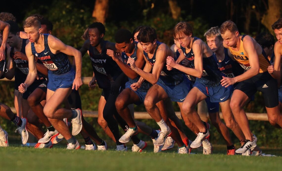 26 Gators Make SEC Fall Academic Honor Roll