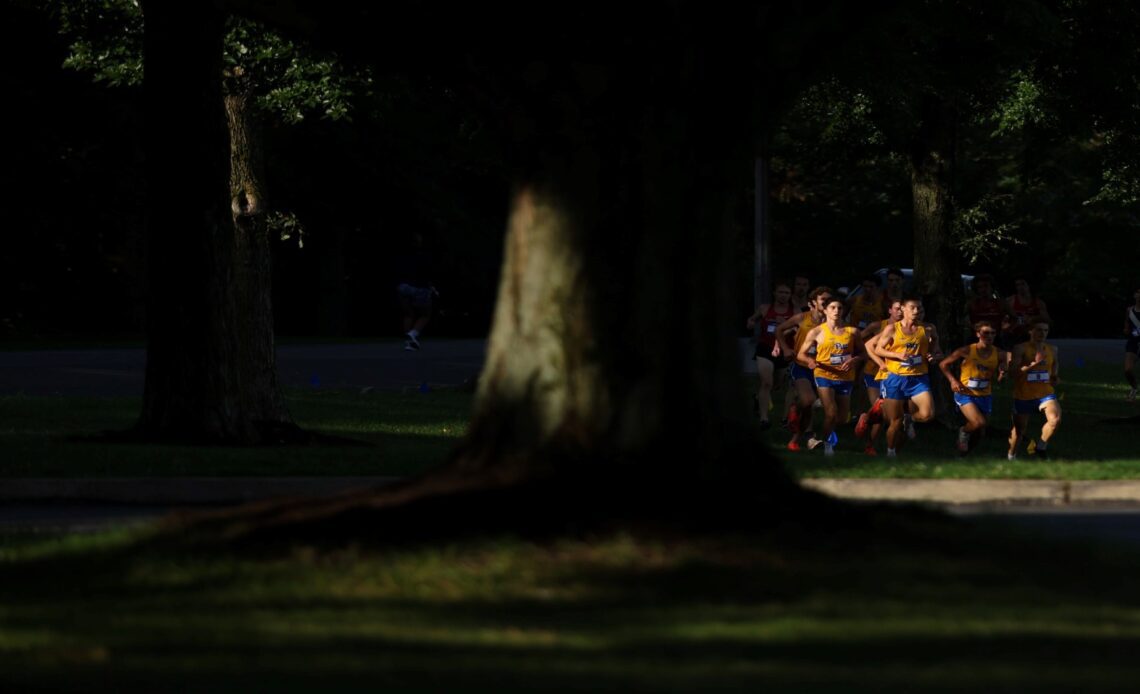 Pitt Cross Country Completes Weis-Crockett Invitational