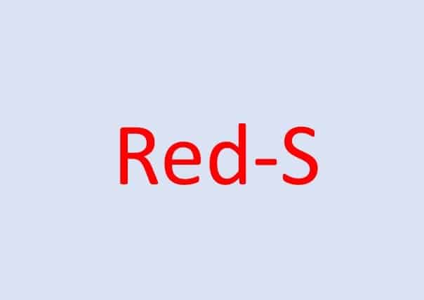 Project Red-S Seminar and Survey