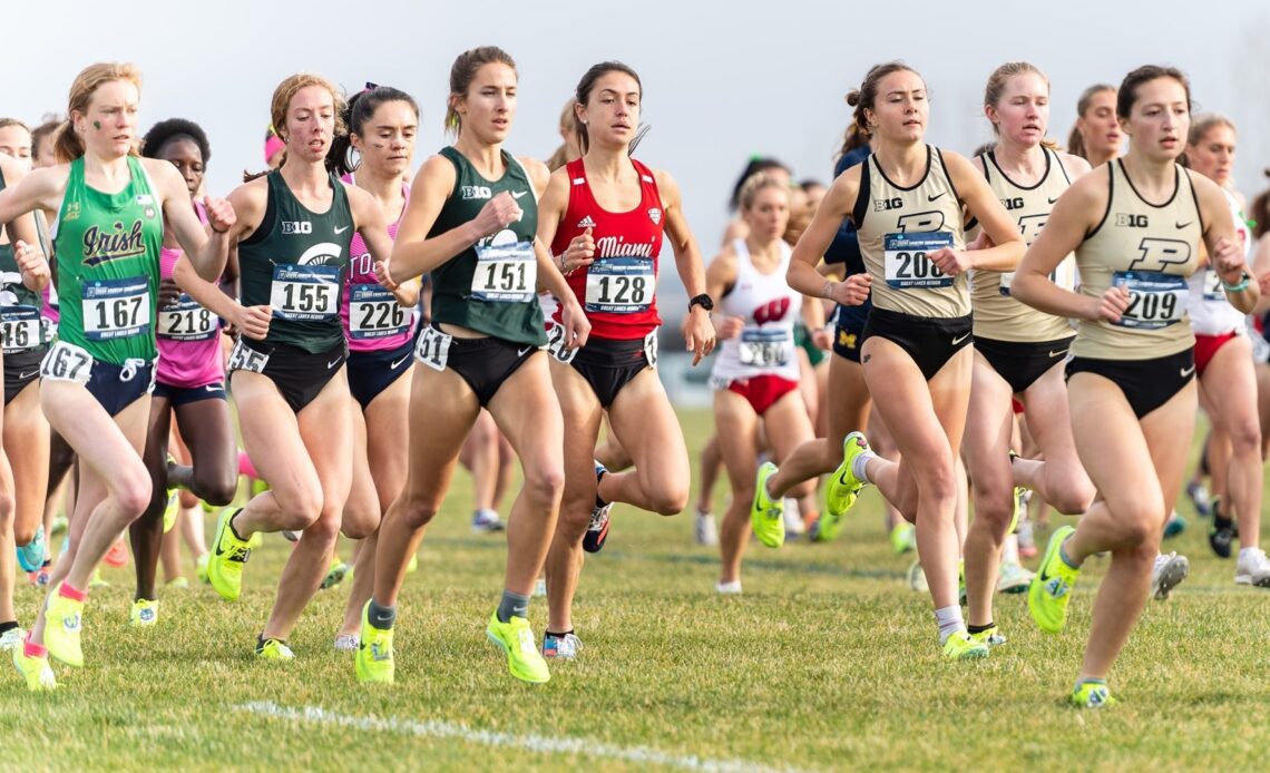 Katie Osika Earns All-American Honors at NCAA Cross Country Championships