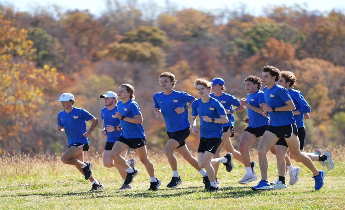 Luke Henseler And Jack Miller Finish Strong At NCAA Championships