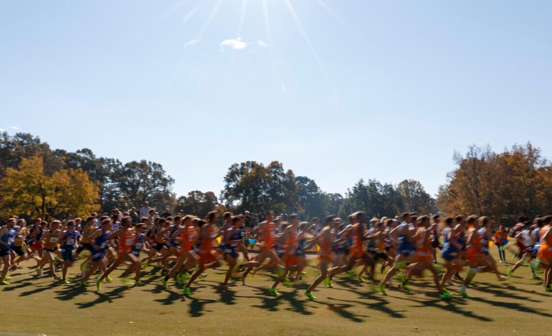 Tennessee Cross Country Collects USTFCCCA Academic Honors