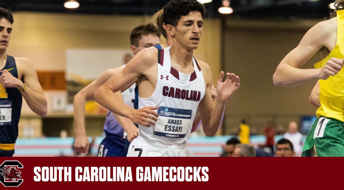 Gamecocks Capture Five First Team All-American Honors in Final Day of NCAA Championship – University of South Carolina Athletics