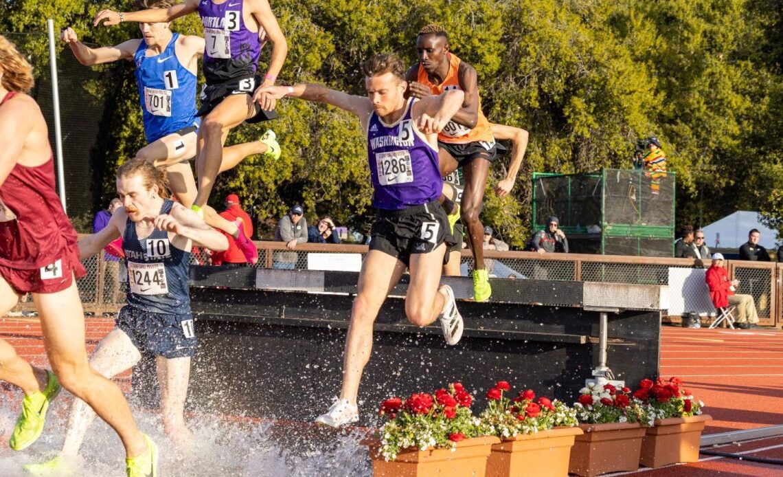 Trippas Breaks 36-Year-Old Steeplechase Record