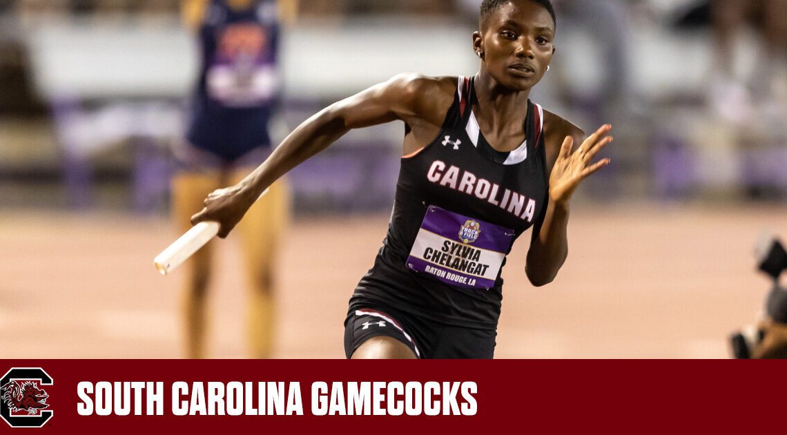 South Carolina Heads to Jacksonville for NCAA East Regionals – University of South Carolina Athletics