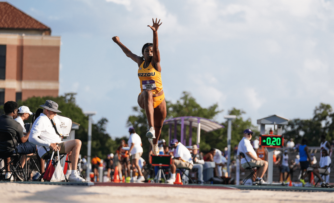 Tigers Advance Seven to NCAA Championship Finals