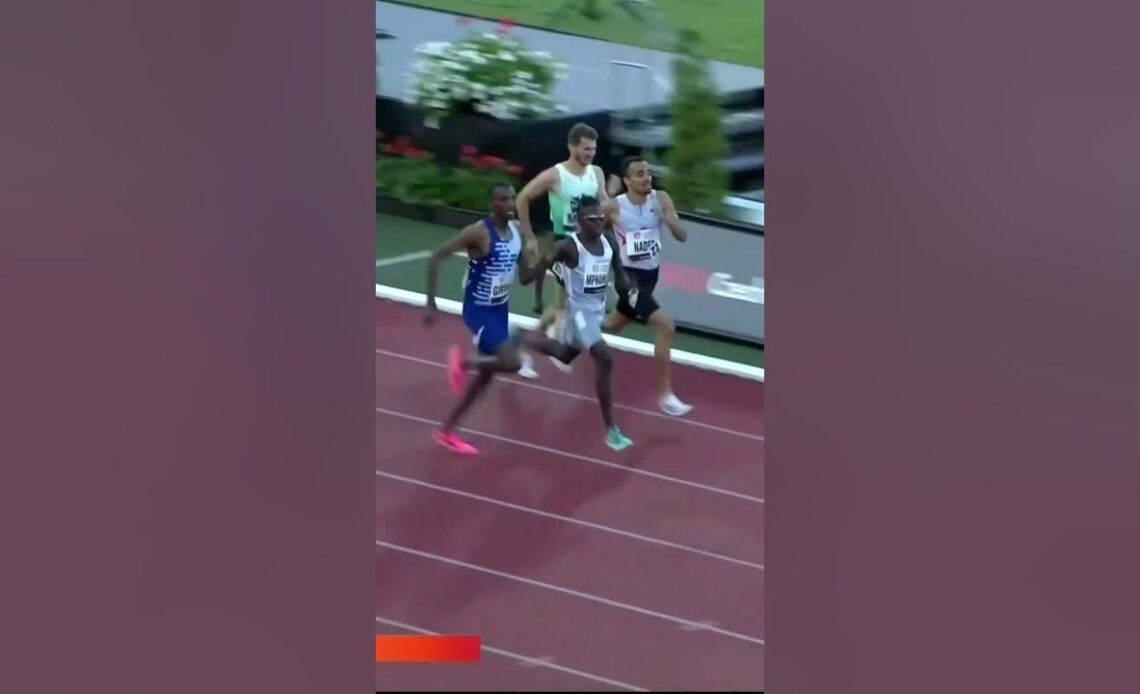 Boxed In, No Problem---Exciting Finish To 1500m Race #shorts