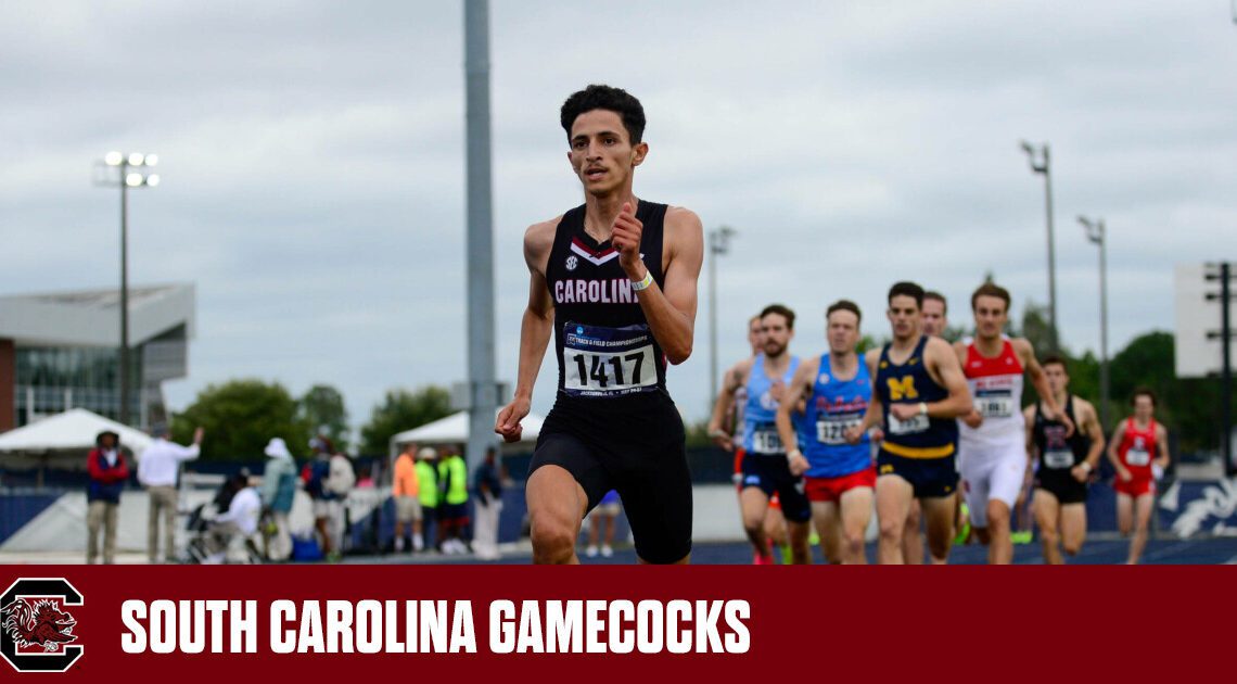 Gamecocks Look to Make History in Texas – University of South Carolina Athletics