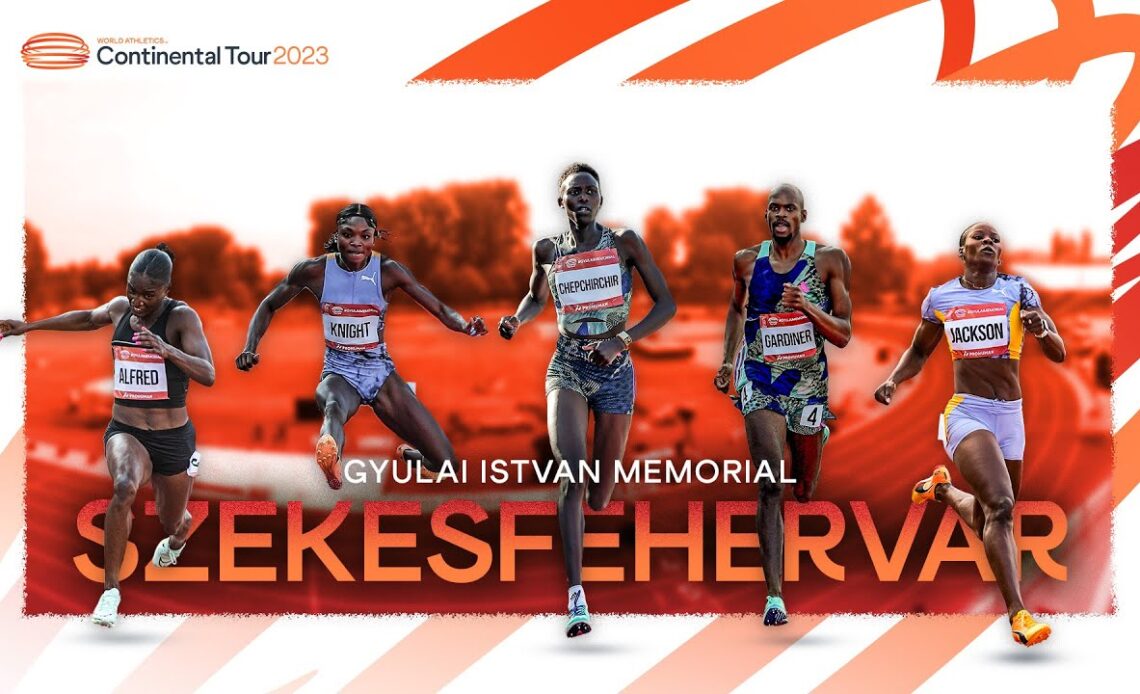 Gyulai István Memorial Highlights Continental Tour Gold 2023 VCP