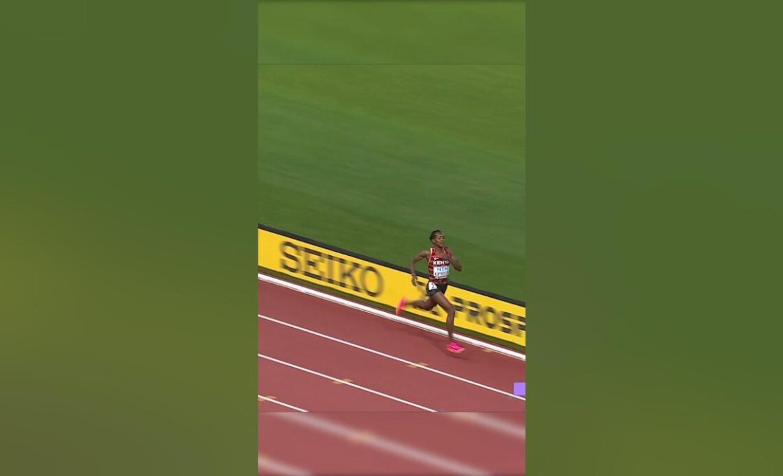 Faith Kipyegon is a triple world champion 🔥 #athletics #kenya #worldathleticschamps #1500m