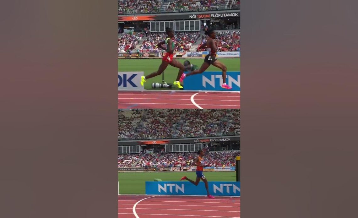 Kipyegon and Hassan cruising 😎 #shorts #athletics #worldathleticschamps #1500m