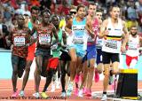 World Athletics Outdoor Championships - News - Favorites Advance in Men's 800m and 5000m at World Athletics Championships