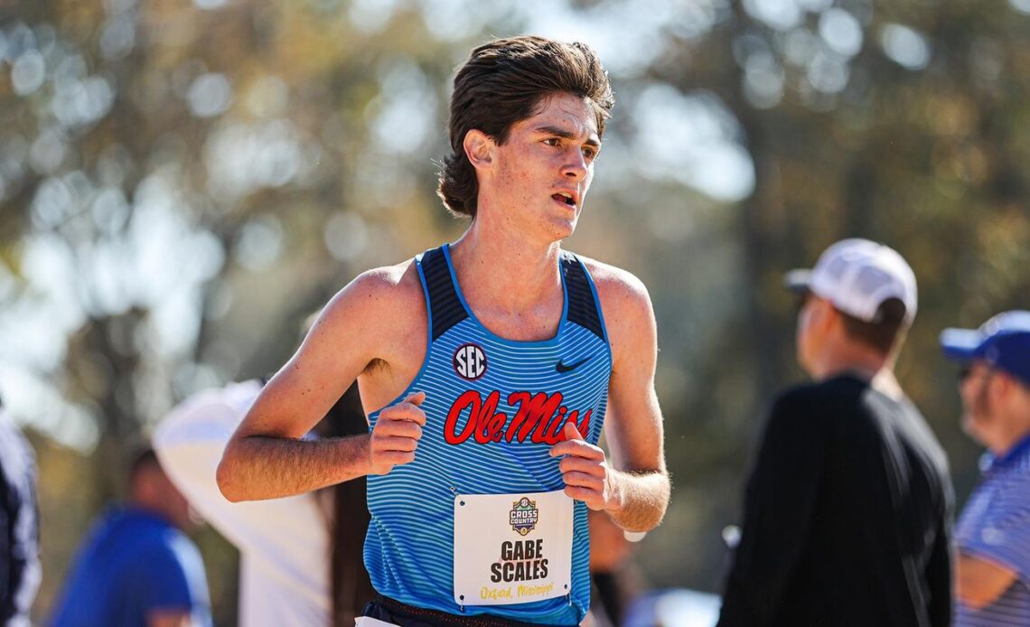Cross Country with Solid Showing at Season-Opening Memphis Twilight