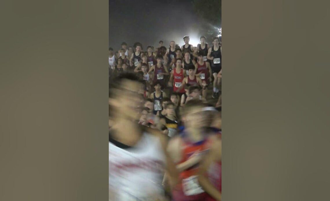Ever Wondered What An XC Race With 470 Runners Looks Like?