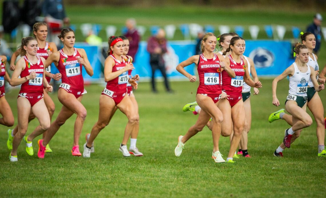 Badgers finish second at Big Ten Championships