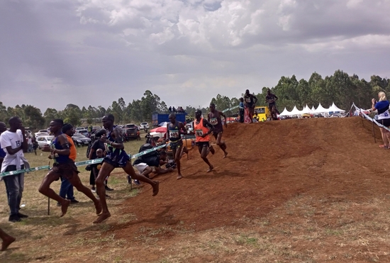 Excitement builds up towards The Great Chepsaita Cross Country Run next weekend