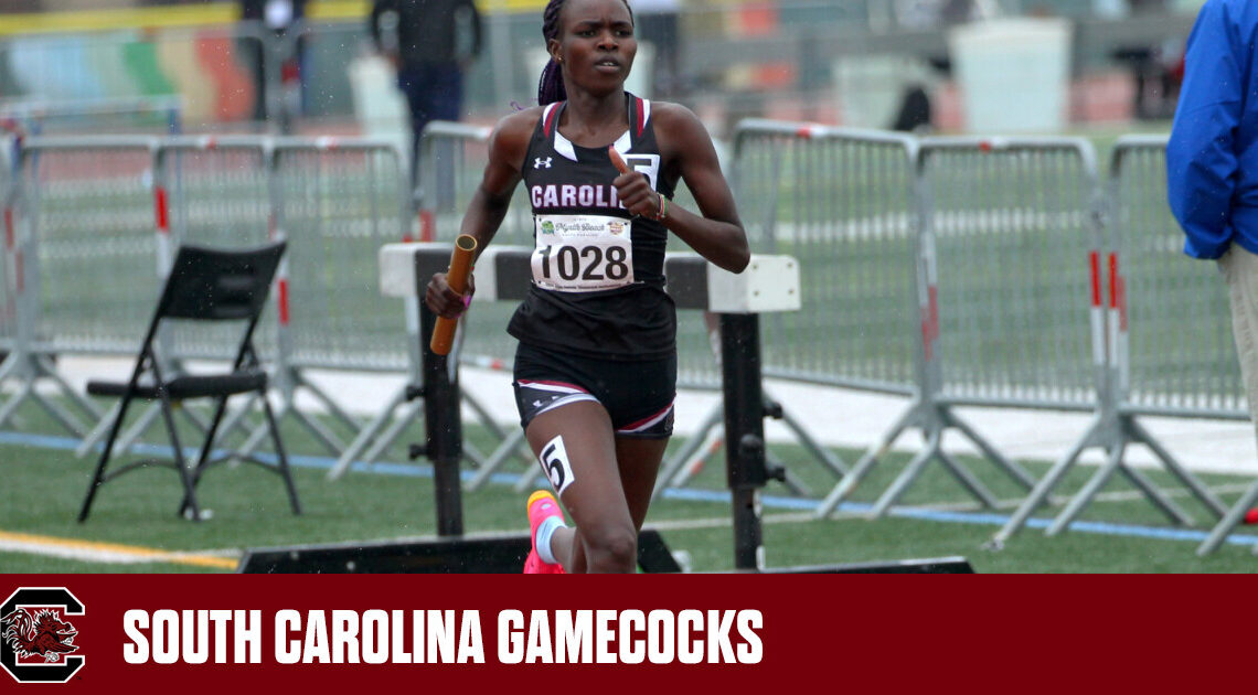 Gamecocks Secure 12 Wins on Final Day in Myrtle Beach – University of South Carolina Athletics