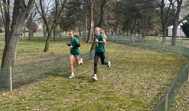 Who, what and when guide: World Cross Country Champs