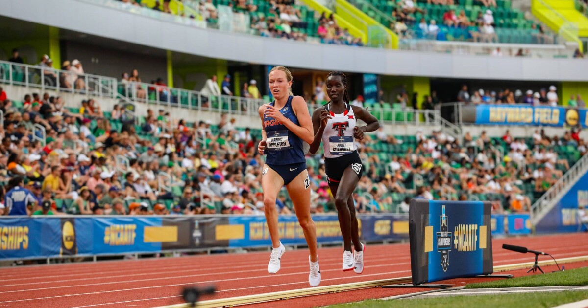 Appleton Earns First Team All-American Honors on Final Day of NCAA Championships