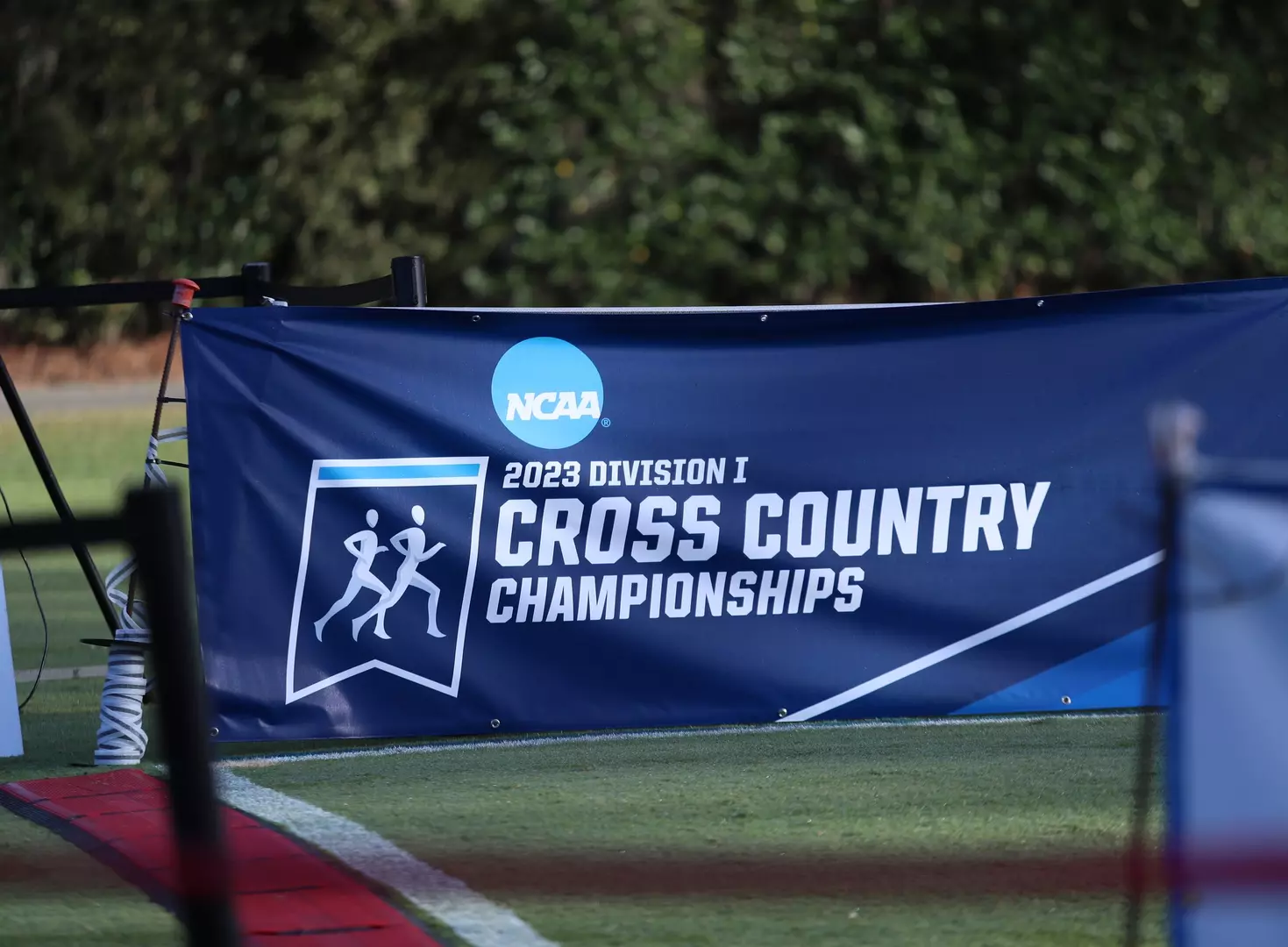 Gators Slot in at No. 8 in USTFCCCA Cross Country National Rankings