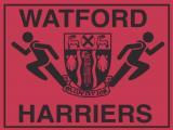 Vinco - News - 2024 Results - Watford Harriers Open Graded Meet