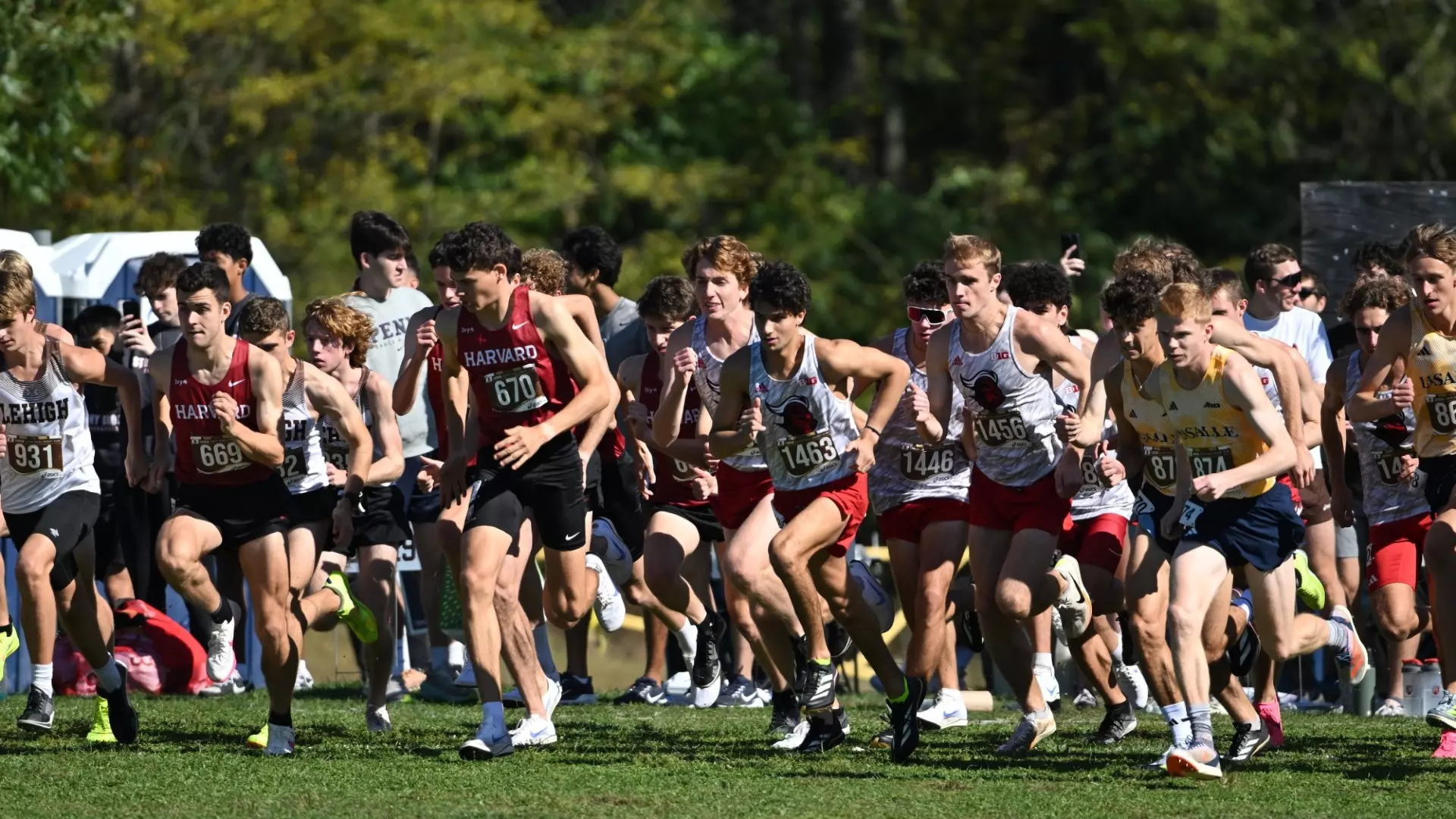 Cross Country Runs In Princeton Fall Classic