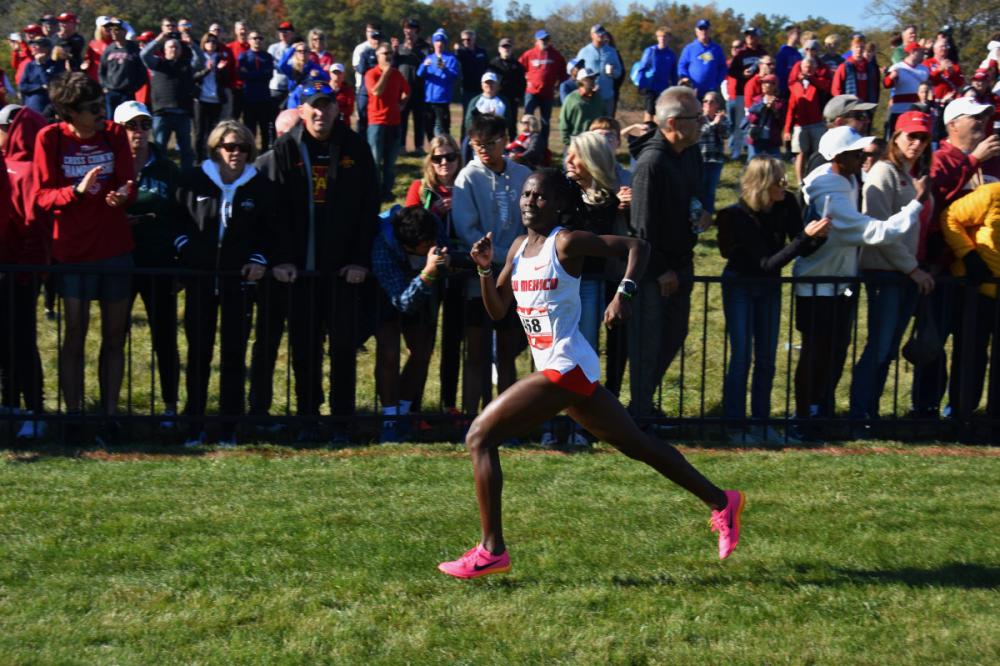 News - Preview: 5 Storylines To Watch For The NCAA D1 Women's Cross Country Championships