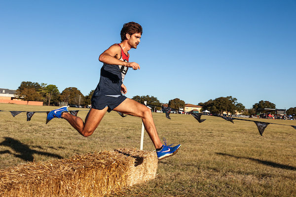 2024 Fall Cross Country Training & Racing Program, November 26, 2024, Week 11, Day 2, Tuesday is a tough day!