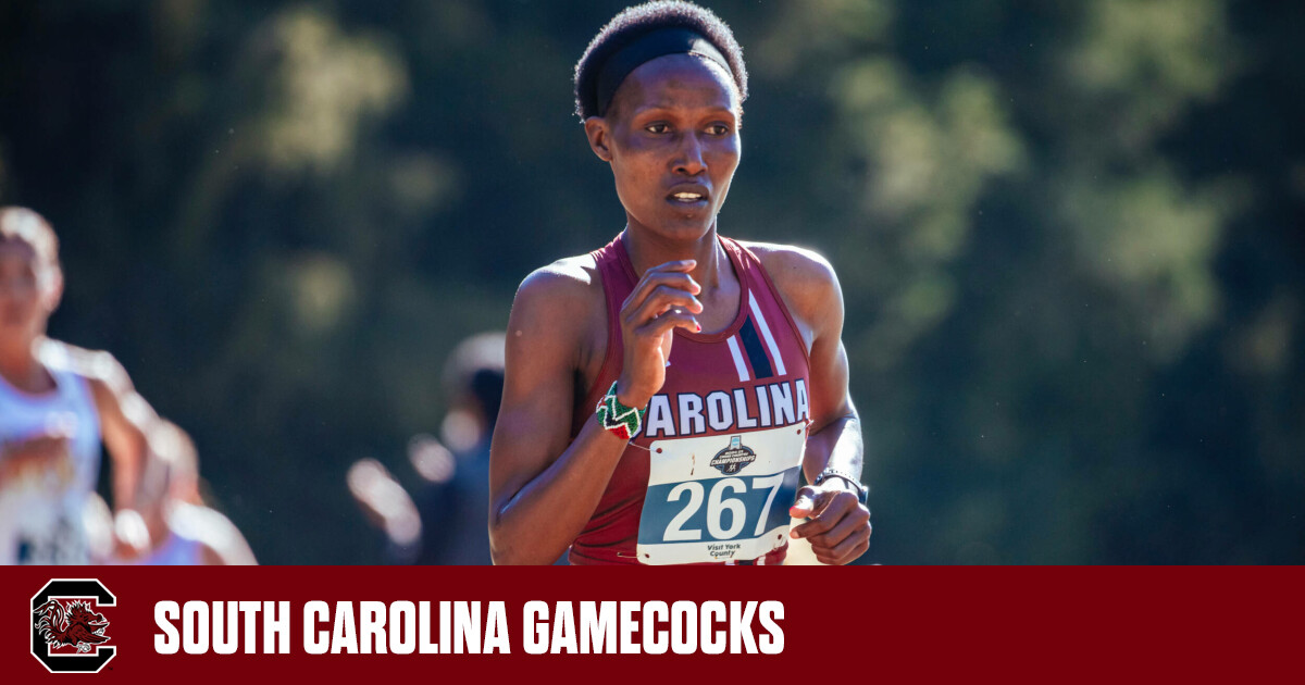 Gamecocks Conclude Cross Country Campaign in Rock Hill – University of South Carolina Athletics