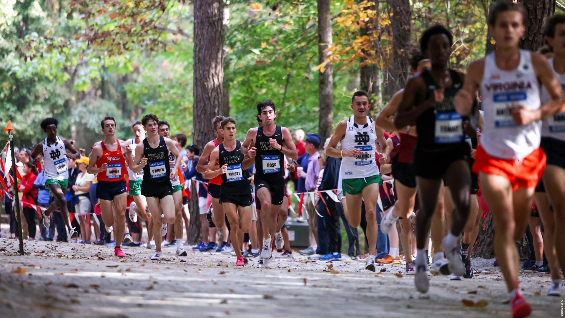 Stanford Women, North Carolina Men Lead ACC Teams at 2024 NCAA Cross Country Championships