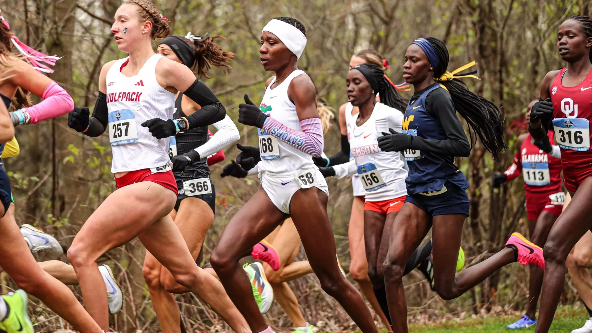 Women’s Cross Country Finishes No. 12 at NCAA Championship