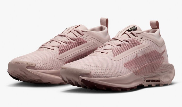 Nike Pegasus Trail GTX