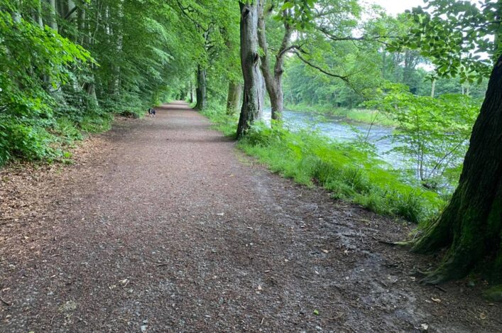 Enter now: 2025 Scottish Trail Champs