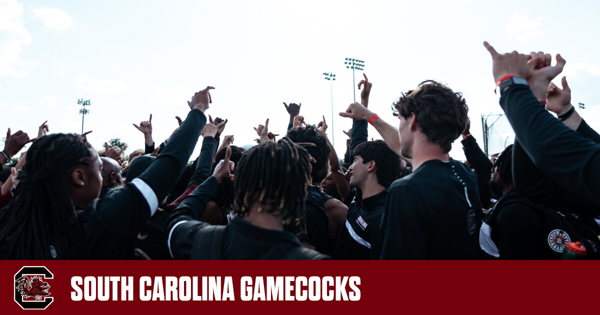 Seven Gamecocks Earn CSC Academic All-District Honors – University of South Carolina Athletics