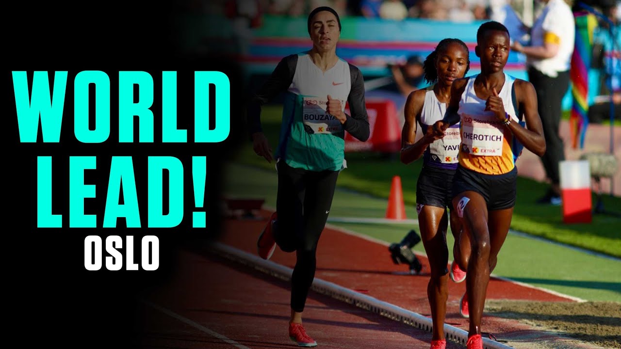 WORLD LEADING Steeplechase Showdown! | 2025 Oslo Diamond League