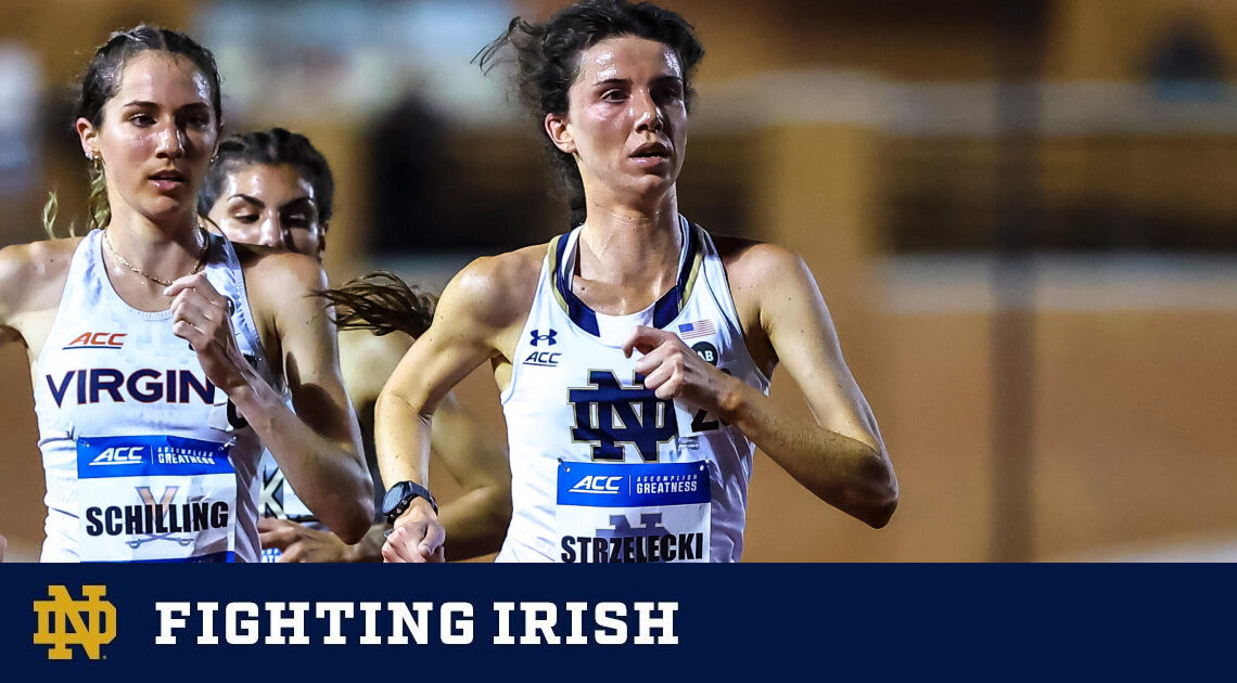 Nearly Forty Irish Earn All-ACC Academic Team Recognition – Notre Dame Fighting Irish – Official Athletics Website