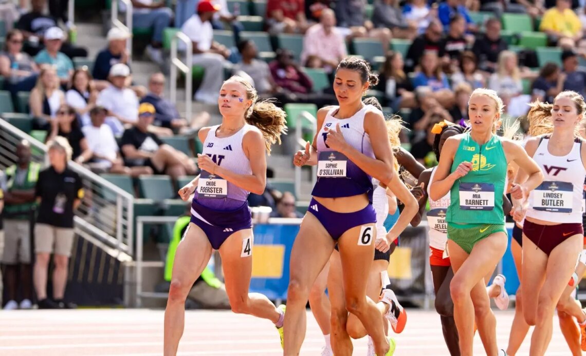 Seven Huskies In Action At World University Games