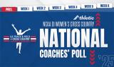 NCAA D1 Cross Country Championships - News